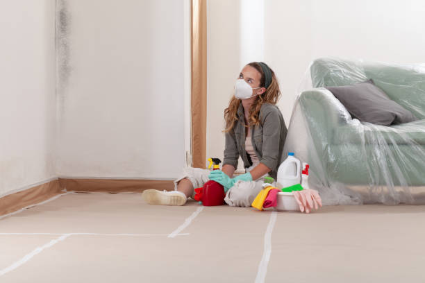 Reliable Mold Inspection contractor in Bayville, NY by WQB Mold Removal